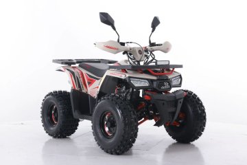 Quad ATV Asix Hunter 125cm3 1+1 koła 8